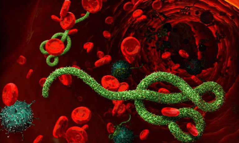 Tin được không: Nhật Bản vừa quyết định nhập khẩu… Ebola và rất nhiều virus chết người khác