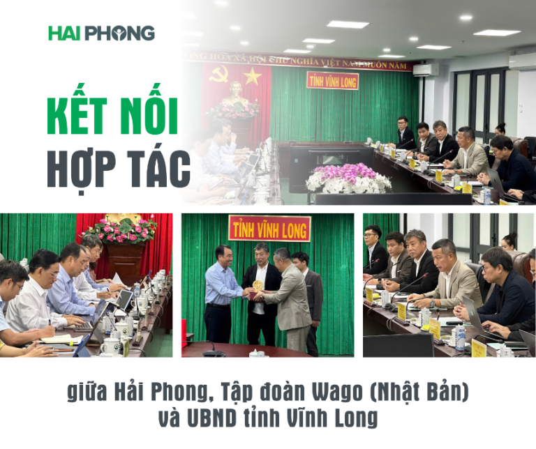 Hải Phong và Tập đoàn WAGO (Nhật Bản) làm việc với lãnh đạo tỉnh Vĩnh Long