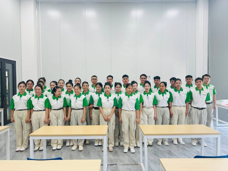 Không Bằng Cấp Có Đi Nhật Được Không? Hướng Đi Nào Cho Bạn Cùng Hải Phong MTV Năm 2026