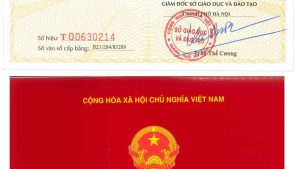 Bằng cấp và bảng điểm khi đi Nhật có cần dịch công chứng không?