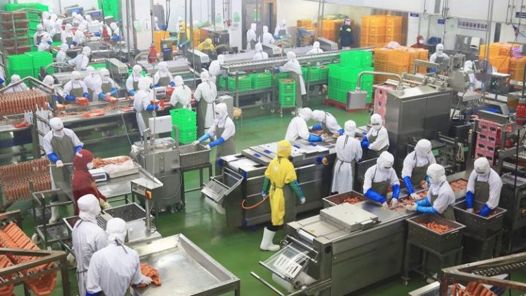 Làm Việc Trong Kho Lạnh Thực Phẩm Tại Nhật Cần Chuẩn Bị Sức Khỏe Như Thế Nào?