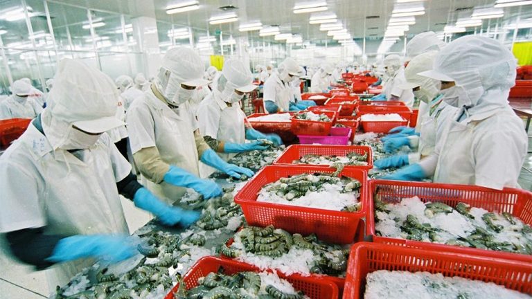 Chế Biến Thủy Sản Tại Nhật Cần Lưu Ý Gì Về Nhiệt Độ Và Môi Trường Làm Việc?