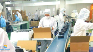 Vận Hành Máy Đóng Gói Trong Nhà Máy Thực Phẩm Nhật Có Khó Không?