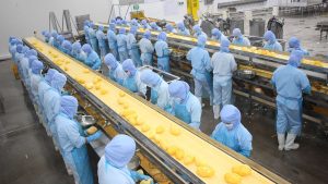 Nhà Máy Đồ Ăn Đông Lạnh Tại Nhật: Công Việc Có Lạnh Và Nặng Không?