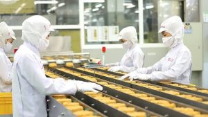 Nhà Máy Mì Và Thực Phẩm Sợi Tại Nhật: Một Ca Làm Việc Gồm Những Công Đoạn Nào?